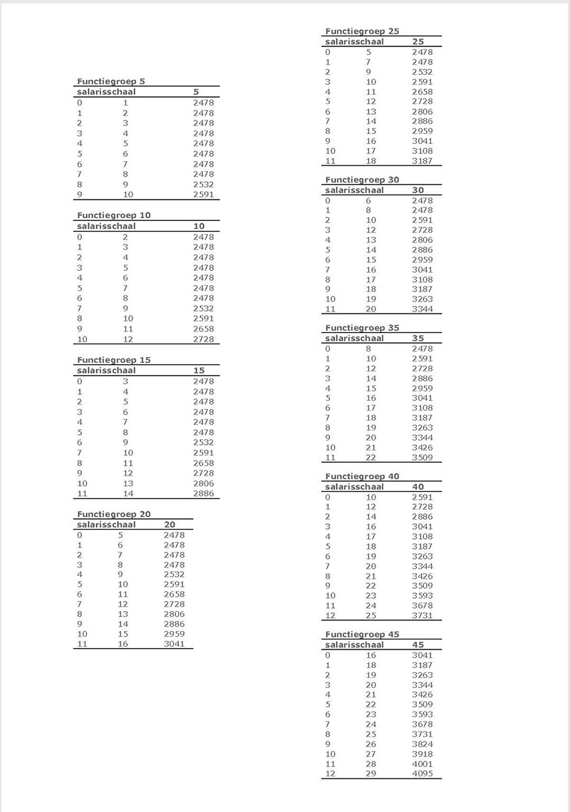 Bijlage M Salarisschalen pagina 133