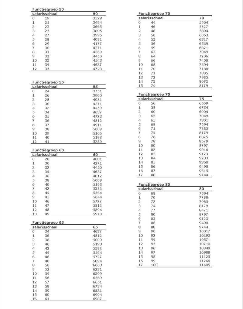 Bijlage M Salarisschalen pagina 136