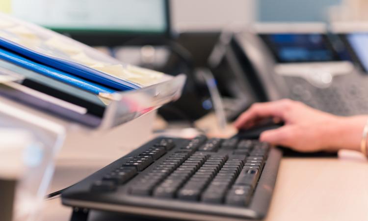 article image lazyload